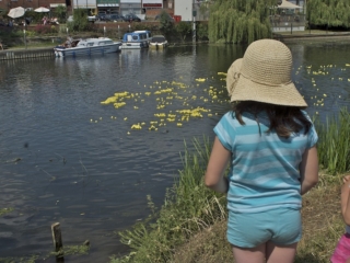 Children watching the Duck Race